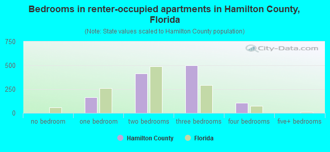 Bedrooms in renter-occupied apartments in Hamilton County, Florida
