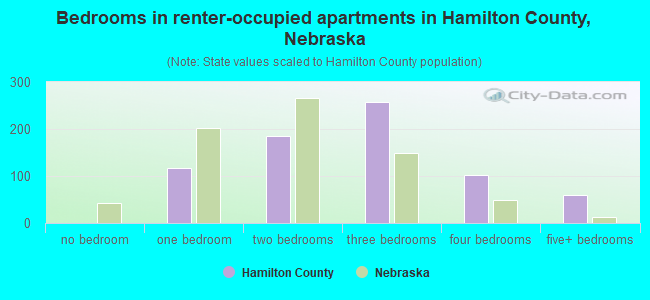 Bedrooms in renter-occupied apartments in Hamilton County, Nebraska