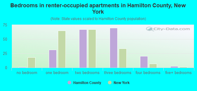 Bedrooms in renter-occupied apartments in Hamilton County, New York