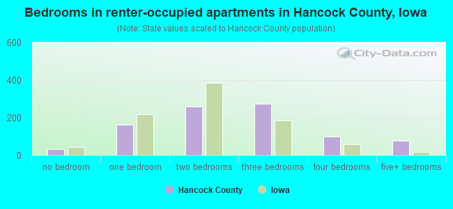 Bedrooms in renter-occupied apartments in Hancock County, Iowa