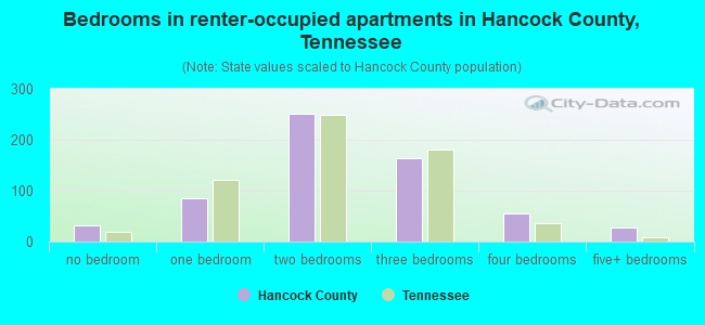 Bedrooms in renter-occupied apartments in Hancock County, Tennessee