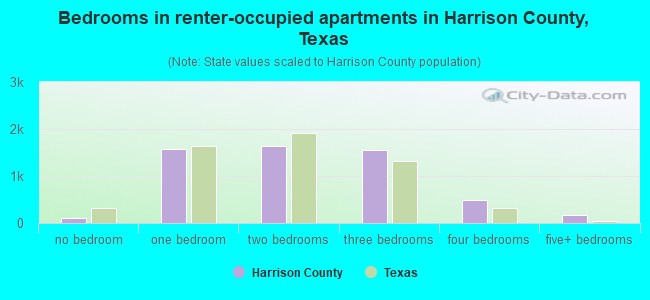 Bedrooms in renter-occupied apartments in Harrison County, Texas