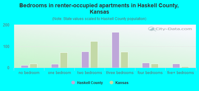 Bedrooms in renter-occupied apartments in Haskell County, Kansas