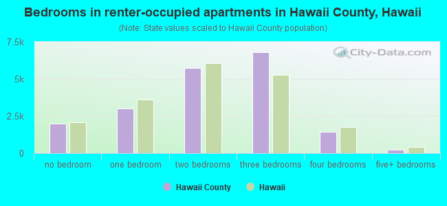 Bedrooms in renter-occupied apartments in Hawaii County, Hawaii