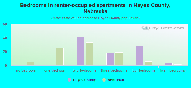 Bedrooms in renter-occupied apartments in Hayes County, Nebraska