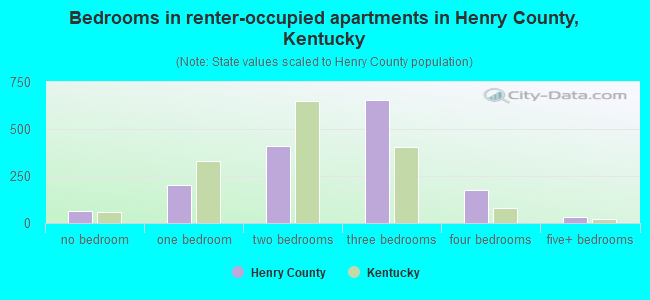 Bedrooms in renter-occupied apartments in Henry County, Kentucky
