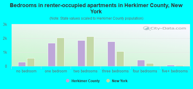 Bedrooms in renter-occupied apartments in Herkimer County, New York