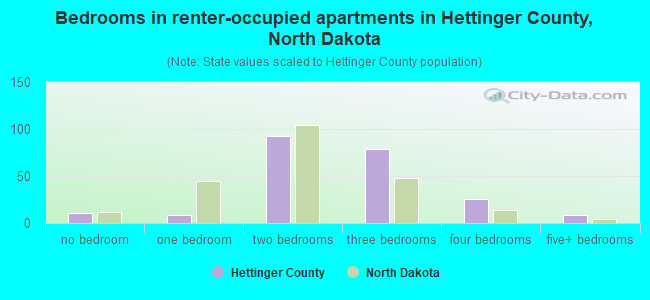 Bedrooms in renter-occupied apartments in Hettinger County, North Dakota