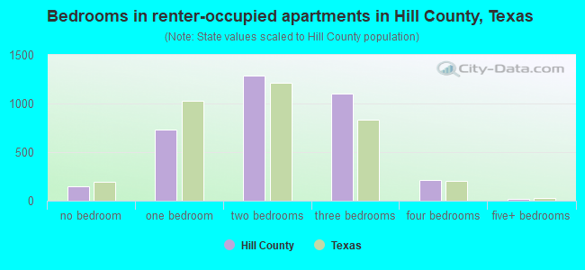 Bedrooms in renter-occupied apartments in Hill County, Texas