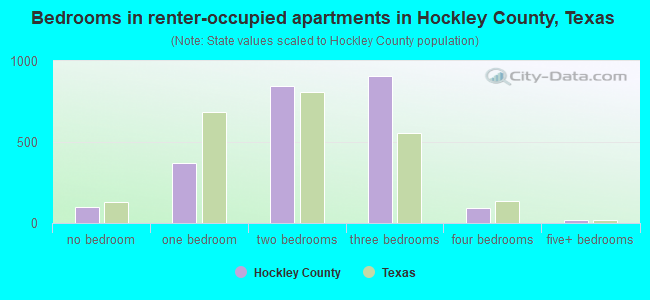 Bedrooms in renter-occupied apartments in Hockley County, Texas