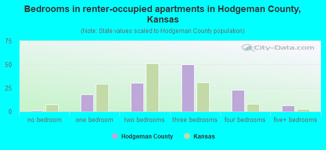 Bedrooms in renter-occupied apartments in Hodgeman County, Kansas