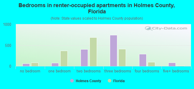 Bedrooms in renter-occupied apartments in Holmes County, Florida