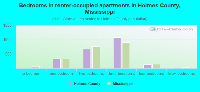 Bedrooms in renter-occupied apartments in Holmes County, Mississippi