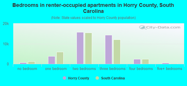 Bedrooms in renter-occupied apartments in Horry County, South Carolina