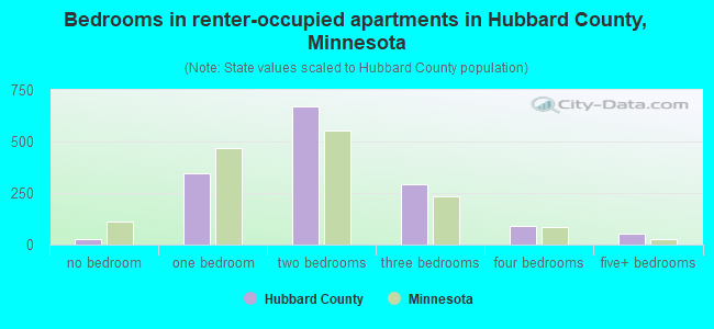 Bedrooms in renter-occupied apartments in Hubbard County, Minnesota