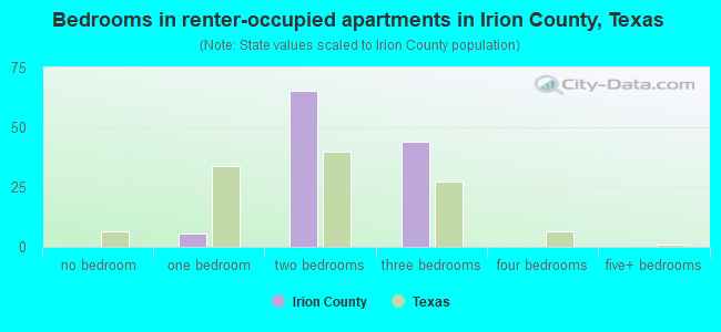 Bedrooms in renter-occupied apartments in Irion County, Texas