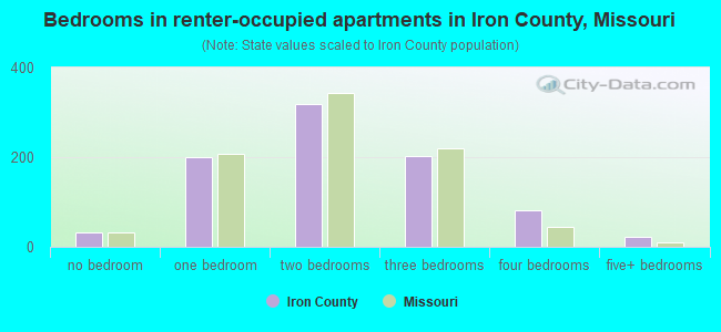 Bedrooms in renter-occupied apartments in Iron County, Missouri