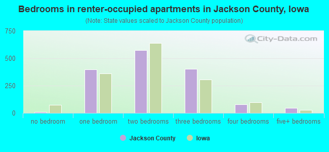 Bedrooms in renter-occupied apartments in Jackson County, Iowa