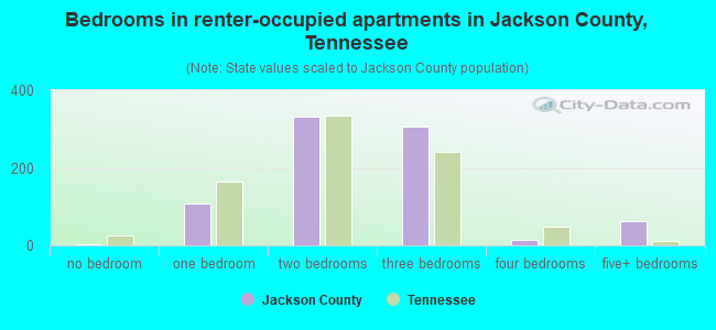 Bedrooms in renter-occupied apartments in Jackson County, Tennessee