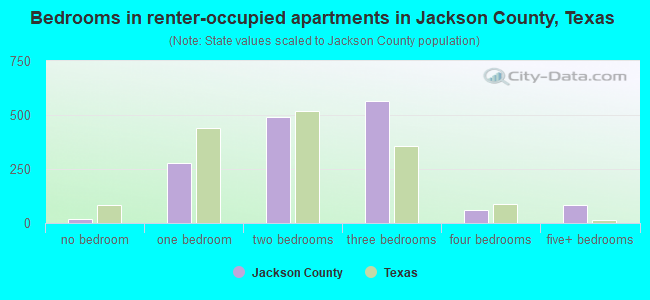 Bedrooms in renter-occupied apartments in Jackson County, Texas