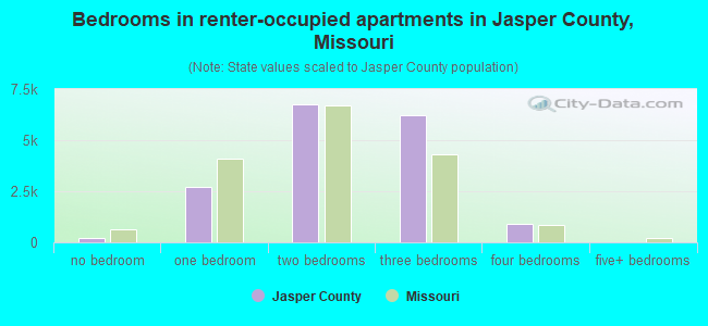 Bedrooms in renter-occupied apartments in Jasper County, Missouri