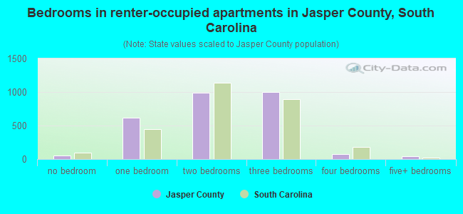Bedrooms in renter-occupied apartments in Jasper County, South Carolina