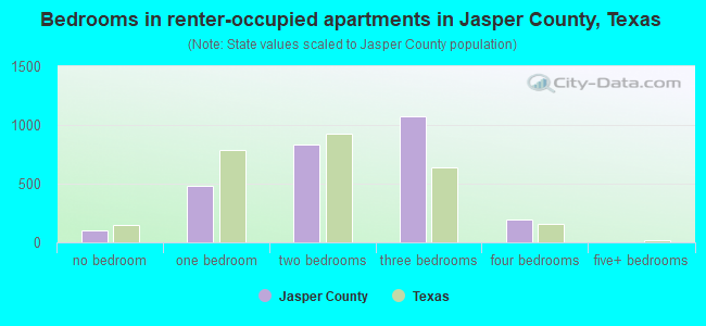 Bedrooms in renter-occupied apartments in Jasper County, Texas