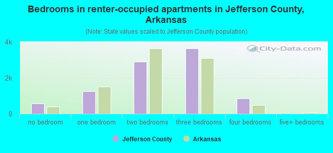 Bedrooms in renter-occupied apartments in Jefferson County, Arkansas