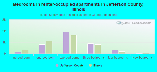 Bedrooms in renter-occupied apartments in Jefferson County, Illinois