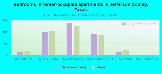 Bedrooms in renter-occupied apartments in Jefferson County, Texas