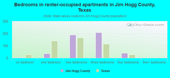 Bedrooms in renter-occupied apartments in Jim Hogg County, Texas
