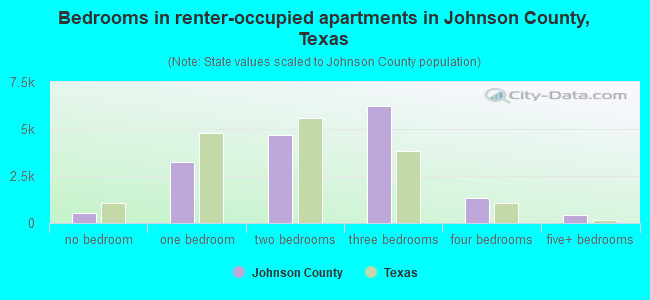 Bedrooms in renter-occupied apartments in Johnson County, Texas