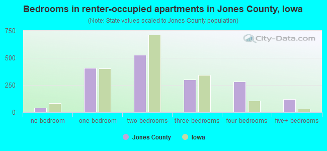 Bedrooms in renter-occupied apartments in Jones County, Iowa