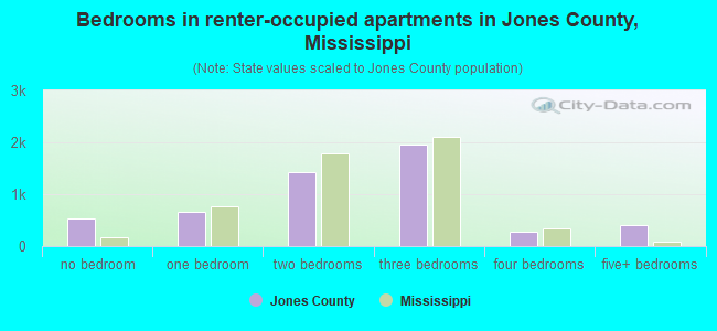 Bedrooms in renter-occupied apartments in Jones County, Mississippi
