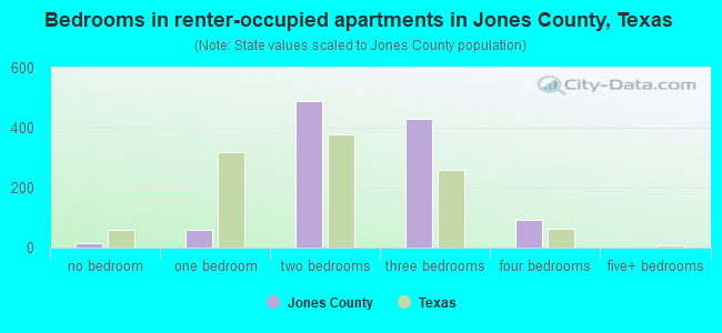 Bedrooms in renter-occupied apartments in Jones County, Texas