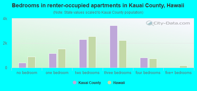 Bedrooms in renter-occupied apartments in Kauai County, Hawaii