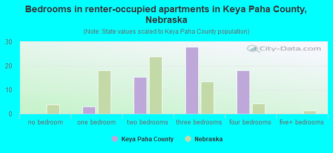 Bedrooms in renter-occupied apartments in Keya Paha County, Nebraska