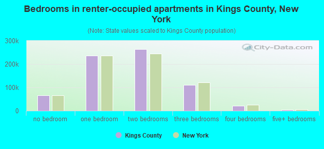Bedrooms in renter-occupied apartments in Kings County, New York