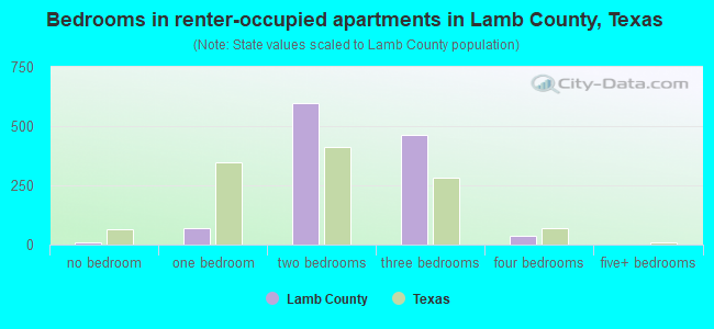 Bedrooms in renter-occupied apartments in Lamb County, Texas