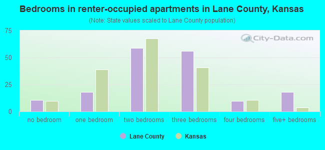Bedrooms in renter-occupied apartments in Lane County, Kansas
