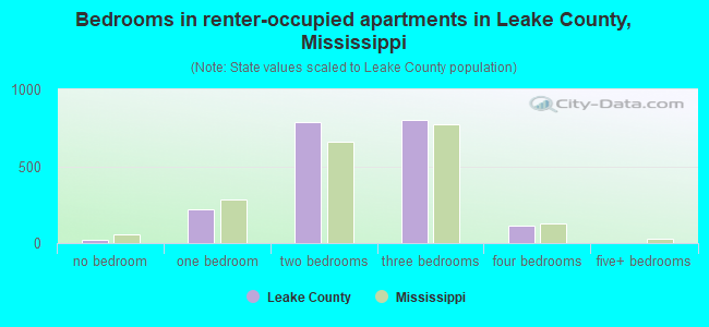 Bedrooms in renter-occupied apartments in Leake County, Mississippi