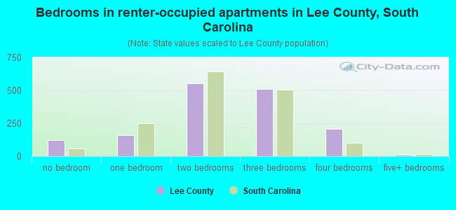 Bedrooms in renter-occupied apartments in Lee County, South Carolina