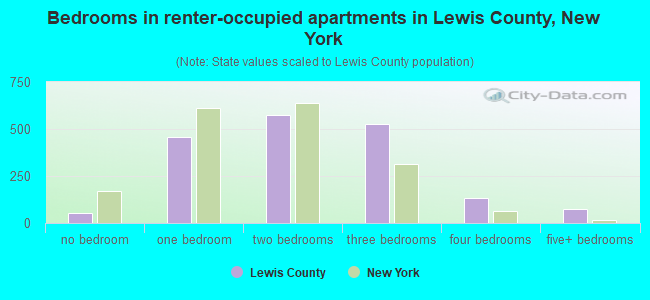 Bedrooms in renter-occupied apartments in Lewis County, New York