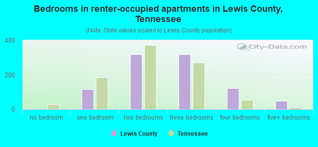 Bedrooms in renter-occupied apartments in Lewis County, Tennessee