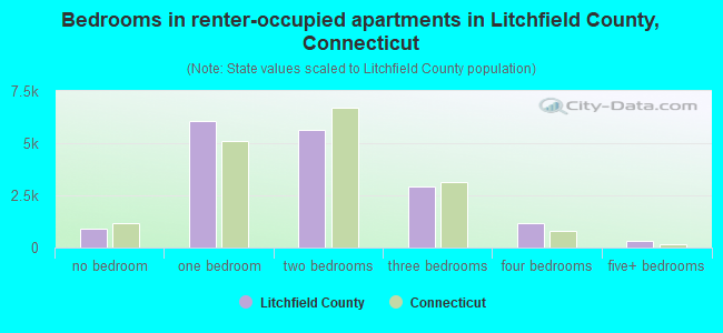 Bedrooms in renter-occupied apartments in Litchfield County, Connecticut