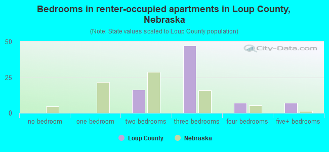 Bedrooms in renter-occupied apartments in Loup County, Nebraska