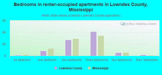 Bedrooms in renter-occupied apartments in Lowndes County, Mississippi