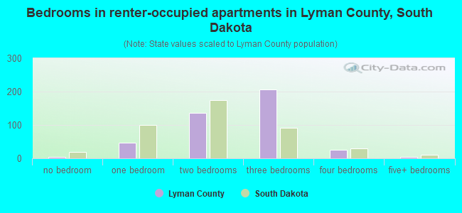 Bedrooms in renter-occupied apartments in Lyman County, South Dakota