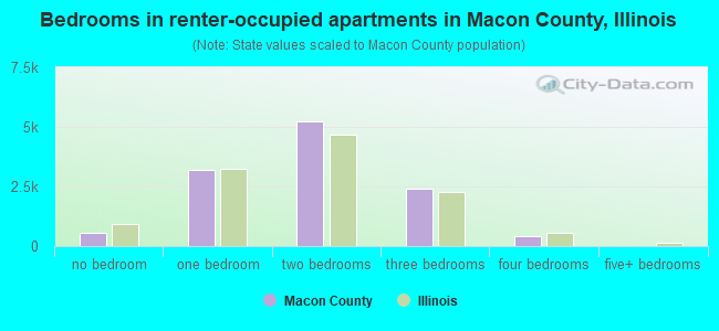 Bedrooms in renter-occupied apartments in Macon County, Illinois