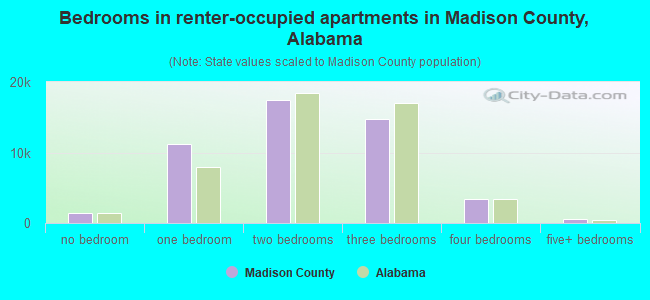 Bedrooms in renter-occupied apartments in Madison County, Alabama